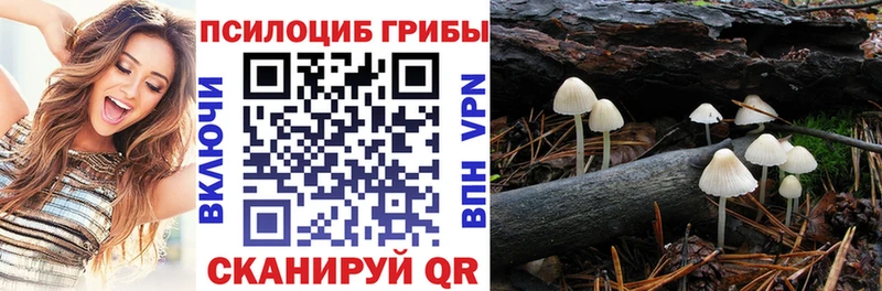 Галлюциногенные грибы прущие грибы  Курганинск 