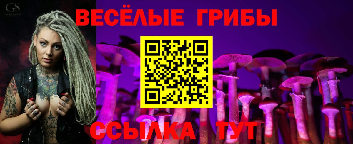 Галлюциногенные грибы мухоморы Курганинск