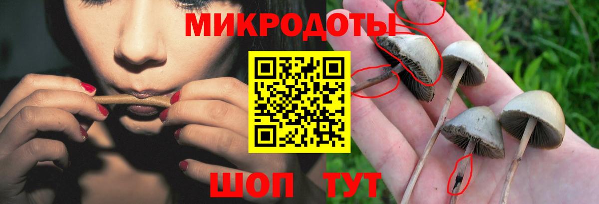 Псилоцибиновые грибы мухоморы  Галлюциногенные грибы мицелий  Курганинск  Вход с VPN 
