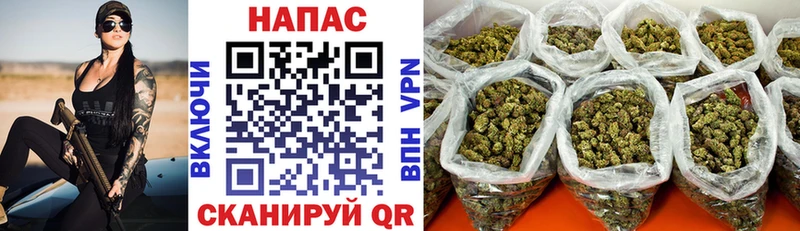 где найти   Курганинск  Шишки марихуана Ganja 